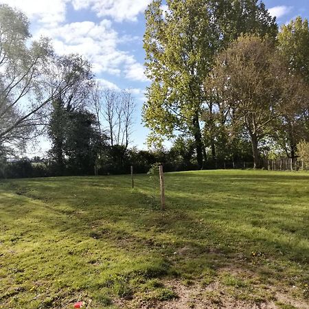 Foret De Nieppe Merville  ภายนอก รูปภาพ